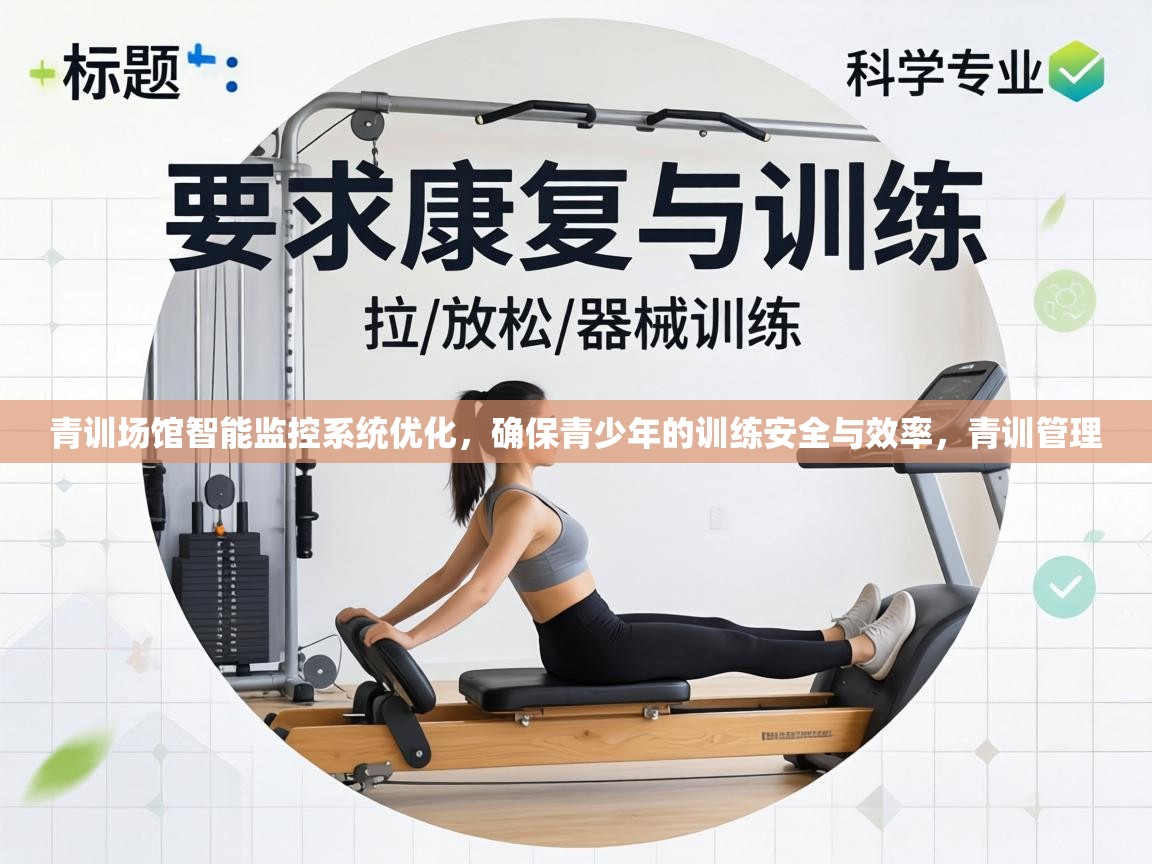 青训场馆智能监控系统优化，确保青少年的训练安全与效率，青训管理  第1张