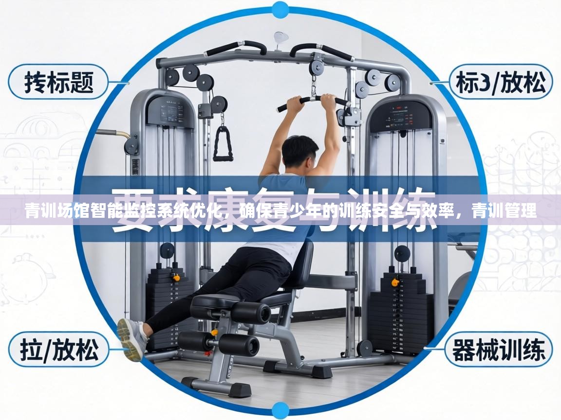 青训场馆智能监控系统优化，确保青少年的训练安全与效率，青训管理  第2张